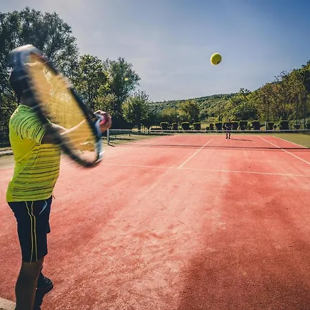 Neumuehle & 酒店 哈默尔堡