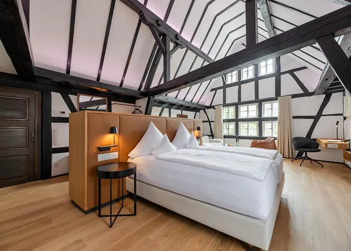 Hotel Neumuehle & 5*