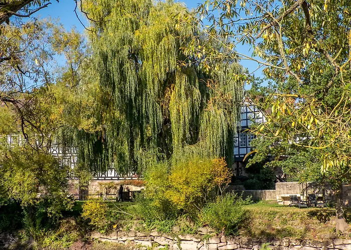 Neumuehle &